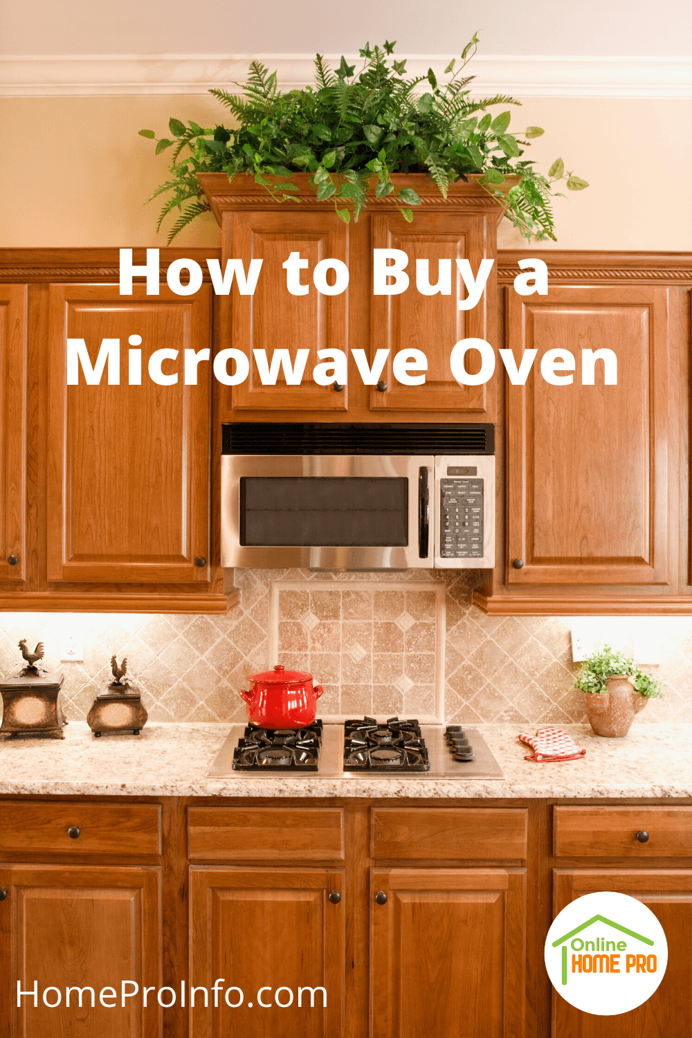 How to Buy a Microwave Oven