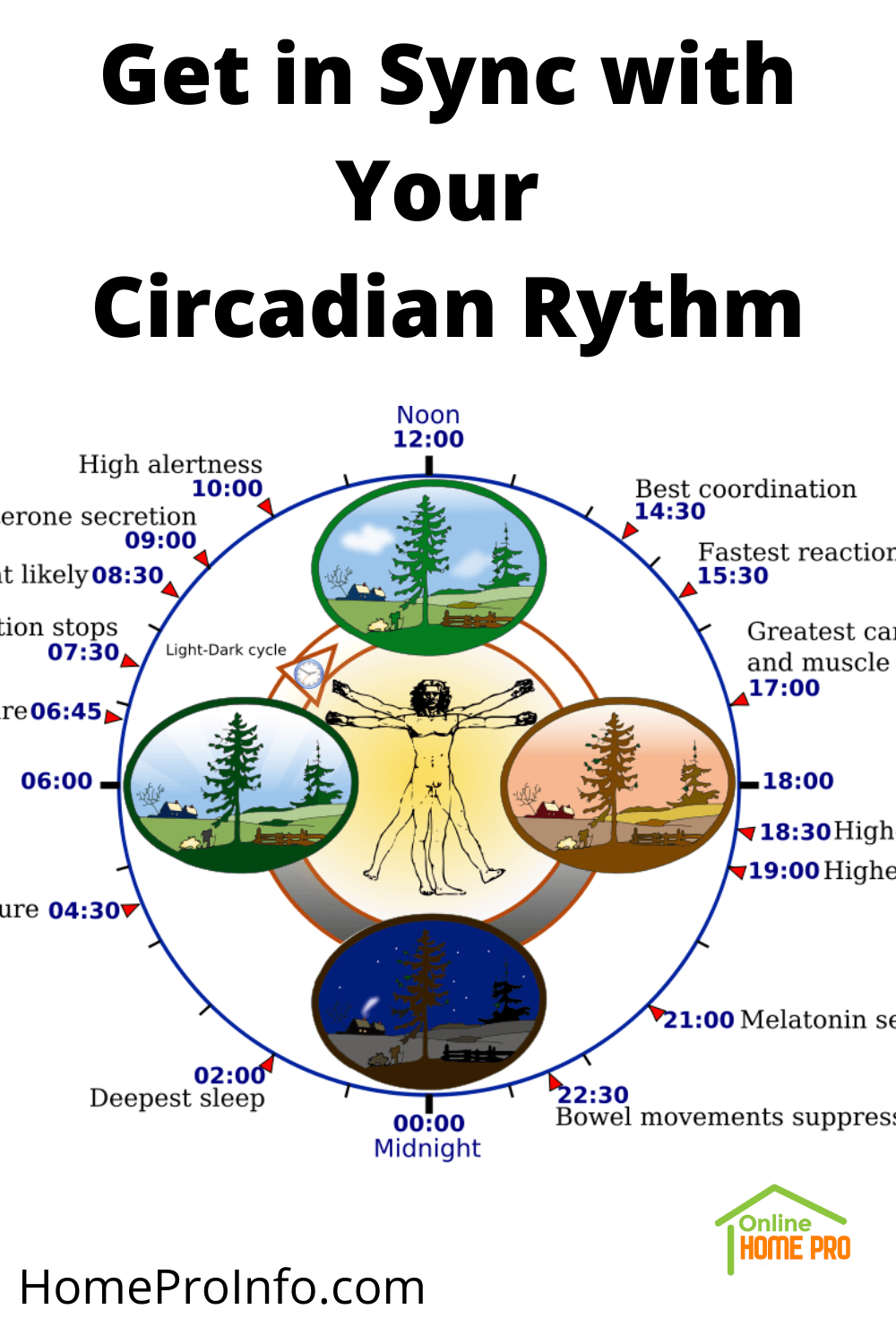 Get in sync with your circadian rhythm
