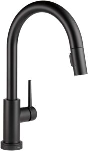 alexa kitchen faucet