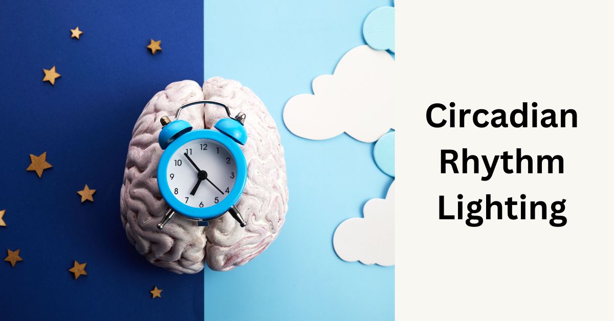 Circadian Rhythm Lighting